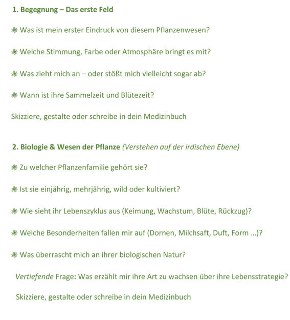 Worksheet Pflanzenwesen