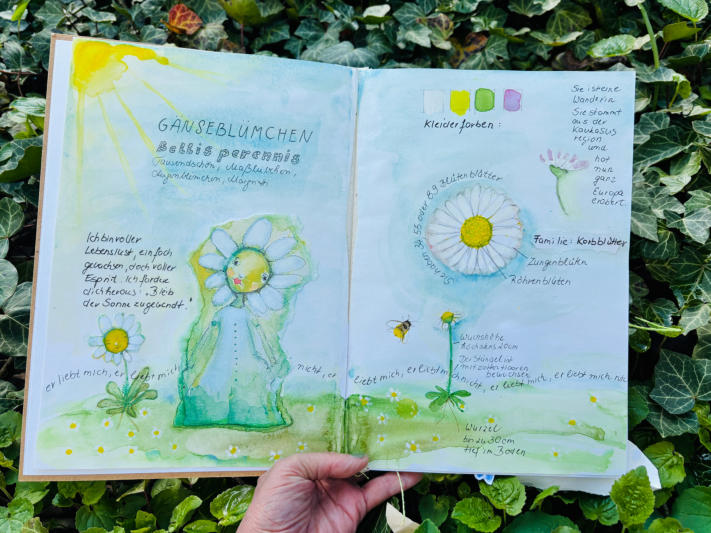 Worksheet Pflanzenwesen